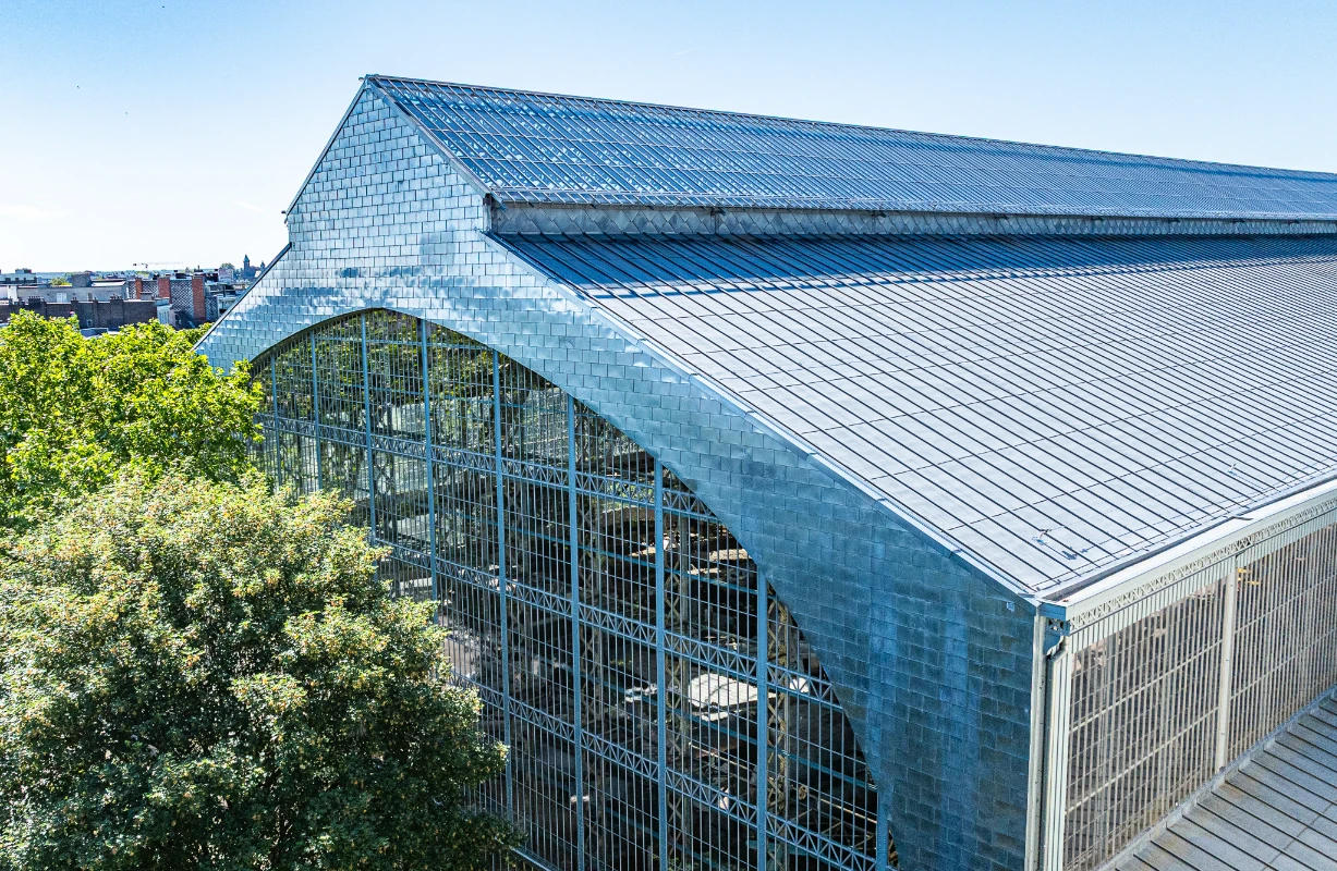 Image 4