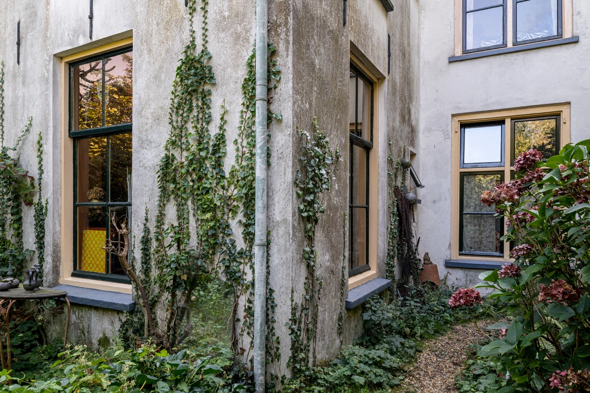Image 8