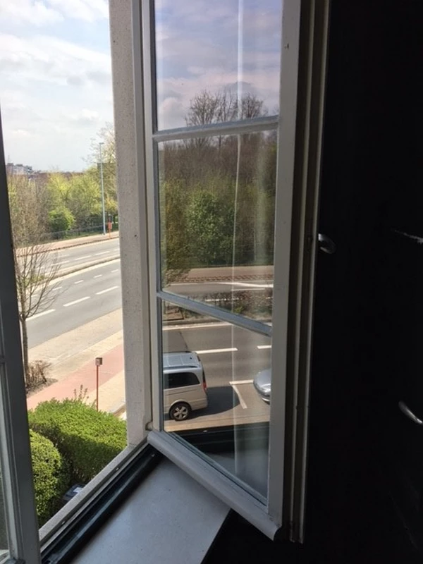 Image 10