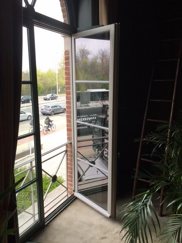 Image 12
